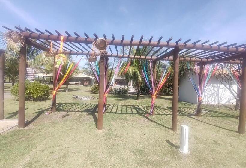 Apartamento 1 Dormitório com Sacada, Tree Bies Resort   Apart Para 04 Pessoas