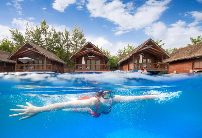 Шале Superior 1 Спальня, Rainbow Valley Hot Spring