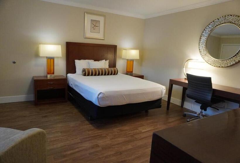 Номер Стандарт, Rose Garden Inn
