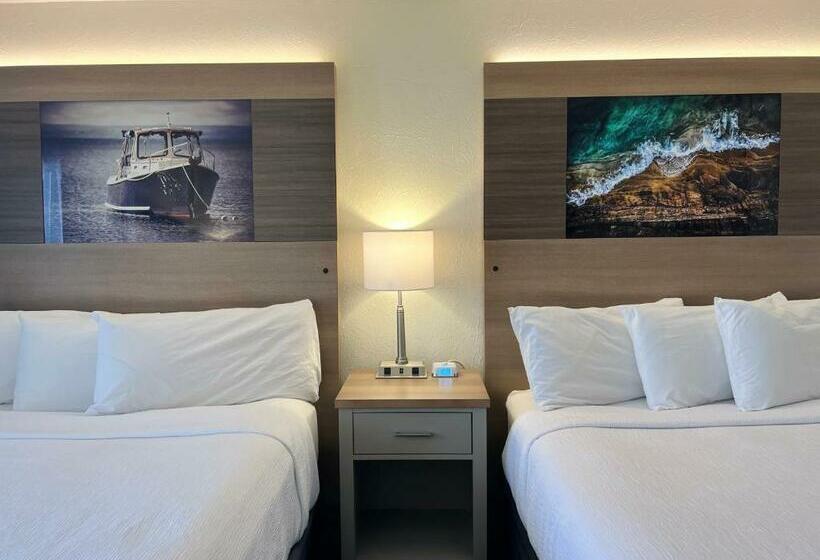 带特大床的标准间, The Beach Haus Resort