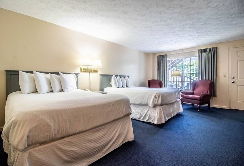 Номер Стандарт 2 Двуспальные Кровати, Sea View Motel