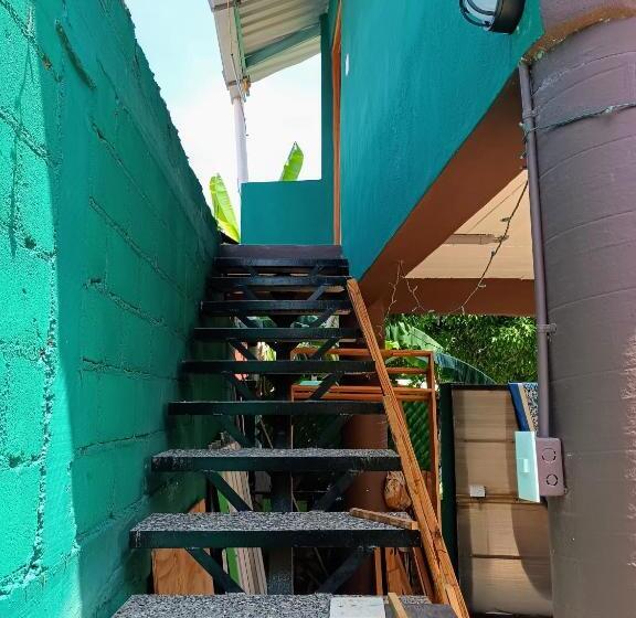 Номер Стандарт Вид на Сад, Oridleys Hostel16
