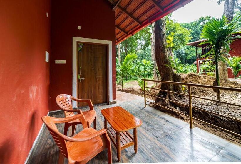 四人标准间, Uk Nature Stay