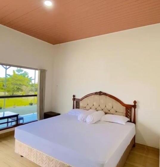 스탠다드 룸 가든 전망, Amadeo Guest House