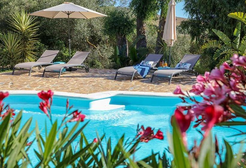 Номер Стандарт с Террасой, Finca Verde De La Luz