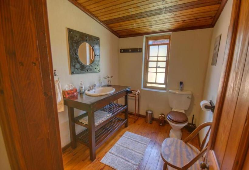 Номер Стандарт, Suntouched Inn