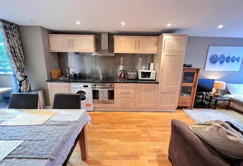 شقة بغرفة نوم واحدة, Great River Thames View Entire Apartment In The Most Central London