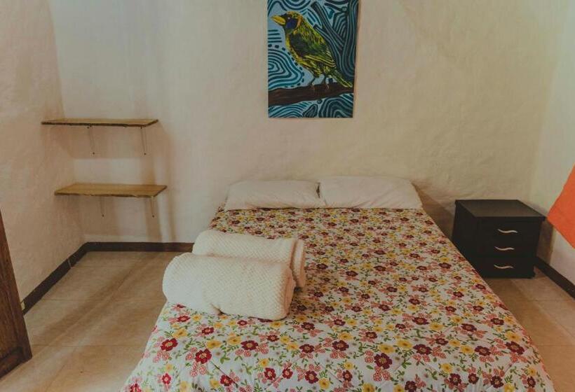 Номер Стандарт, La Greca   Casa De Paz