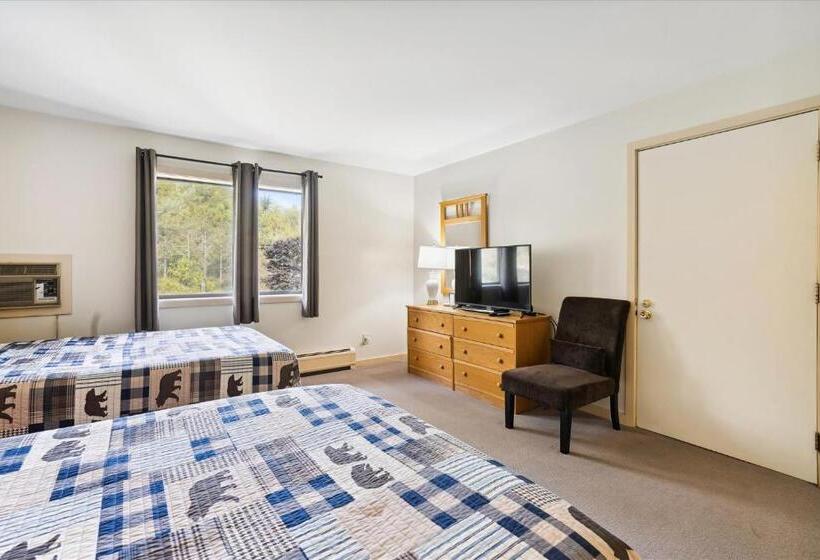 Номер Стандарт, Cedarbrook Hotel Room W/2 Doubles 117