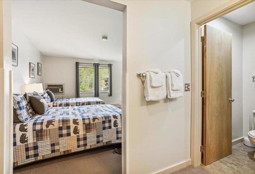 Номер Стандарт, Cedarbrook Hotel Room W/2 Doubles 117