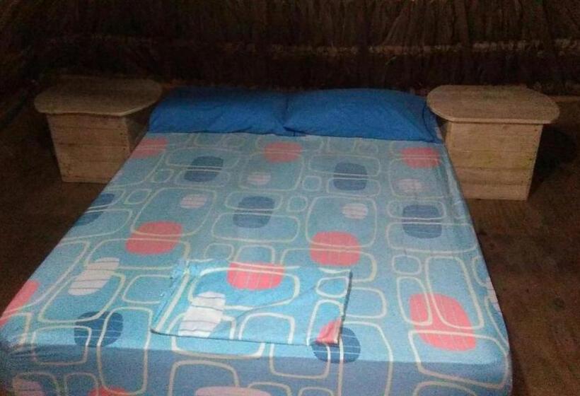 اتاق استاندارد, Hostel Cattleya