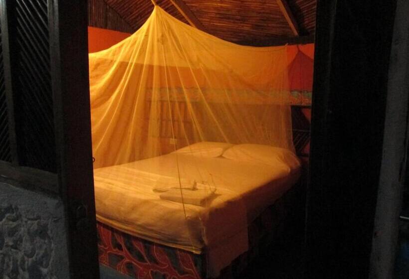 اتاق استاندارد, Hostel Cattleya