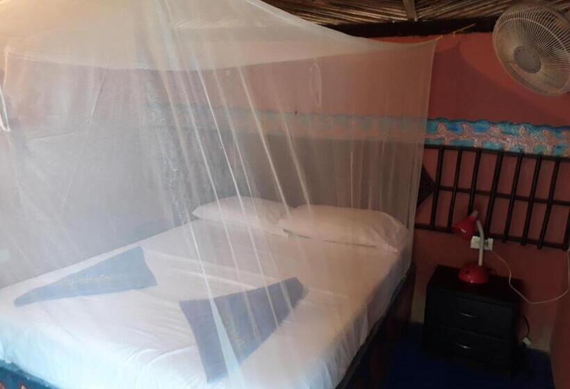 اتاق اکونومی, Hostel Cattleya