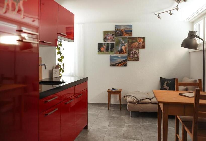 استودیوی استاندارد, Haus Meierhüsli