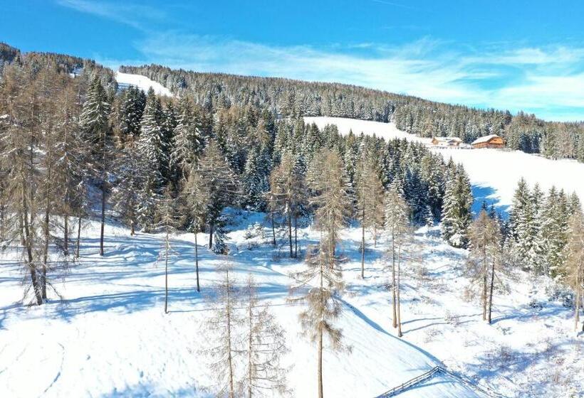 Апартаменты 1 Спальня, Almresidenz Unterrain Zum Hartl  1 Km By Car Distance Ski Slopes Kronplatz