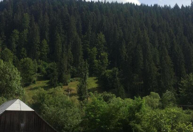 Номер Стандарт Вид на Горы, Casa De Vacanta Joldes