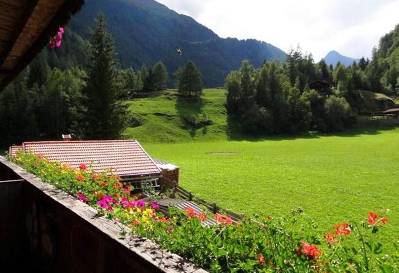 Номер Стандарт, Gästehaus Conny