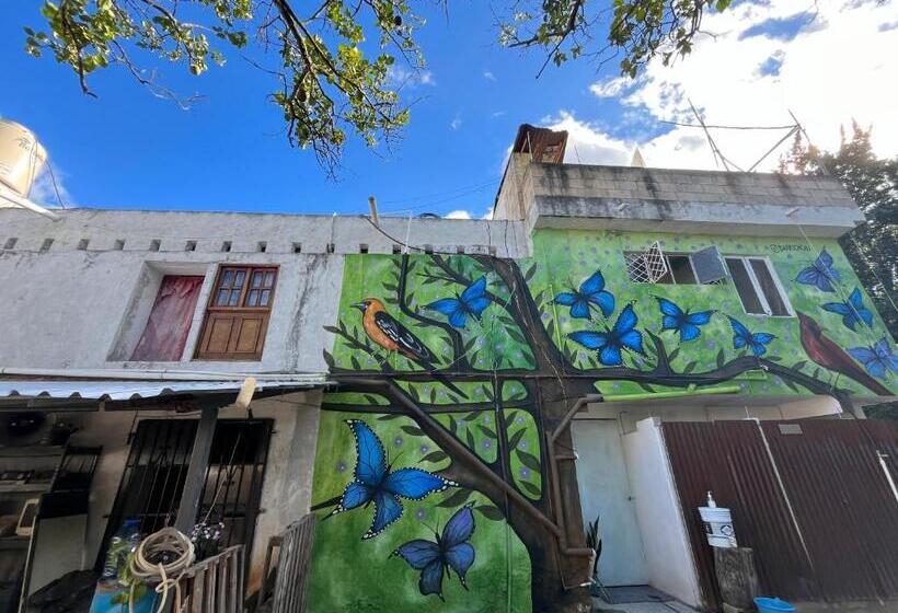 מיטה בחדר משותף, Hostel Xiinbal Habitación Comunitaria