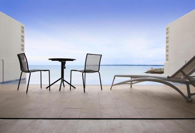 Camera Quadrupla Premium, Vivoviva石垣島