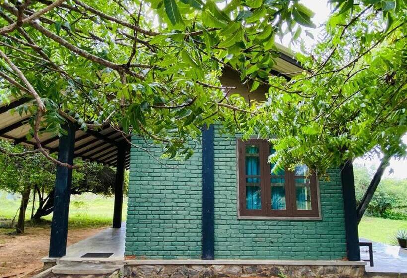 标准间, Yala Ying Yang Hostel & Camping