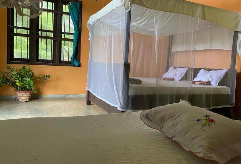 标准三人间, Yala Ying Yang Hostel & Camping