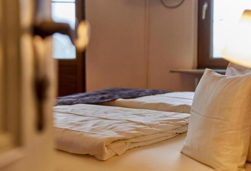 수피리어 룸, Moselhotel Römischer Kaiser