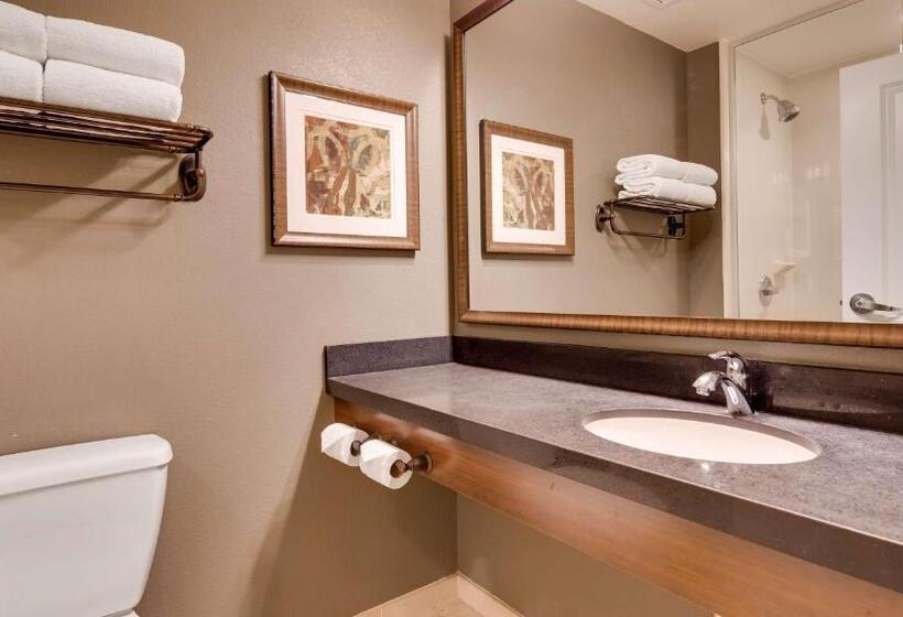 Quarto Estandar para Deficientes Físicos, Best Western Plus Chandler Hotel & Suites