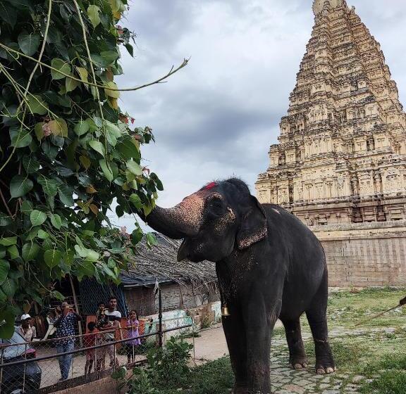 Апартаменты 3 Спальни, Temple View Guest House