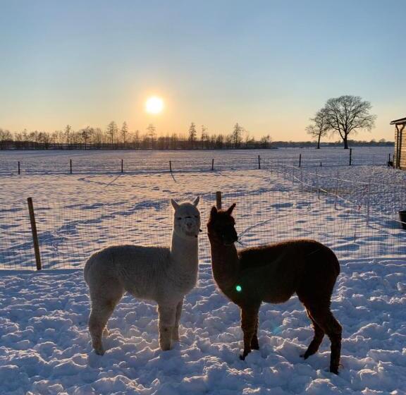 带1个卧室的豪华公寓, Hoeve Zandbelt