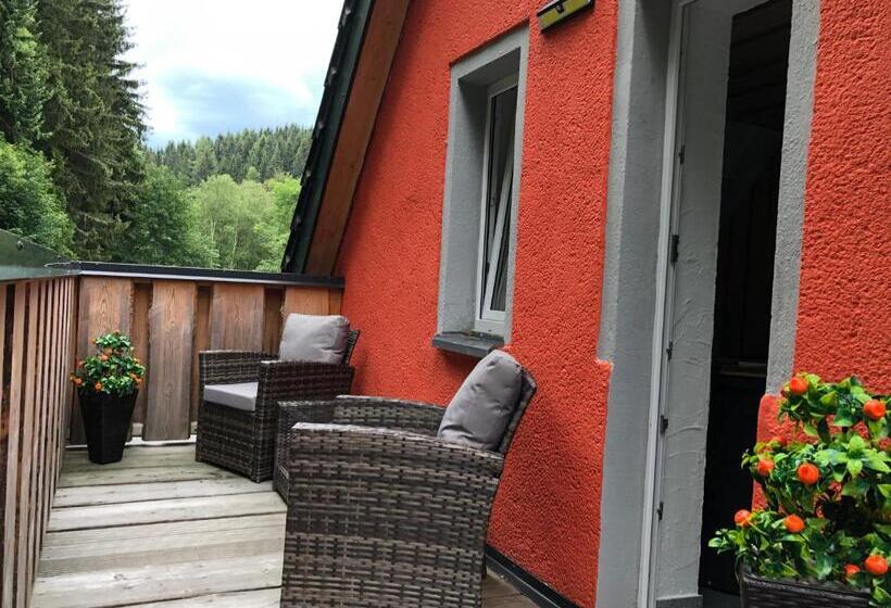 Номер Стандарт с Балконом, Erlebnishotel & Restaurant Fichtenhäusel Am Pöhlagrund