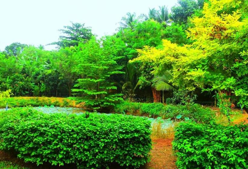 스탠다드 룸, Green View Safari Paradise