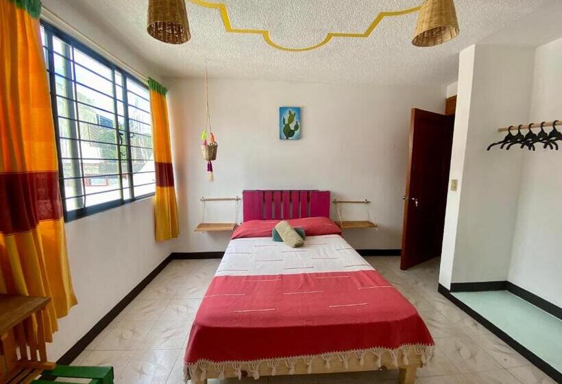 اتاق استاندارد, Casa El Mundo