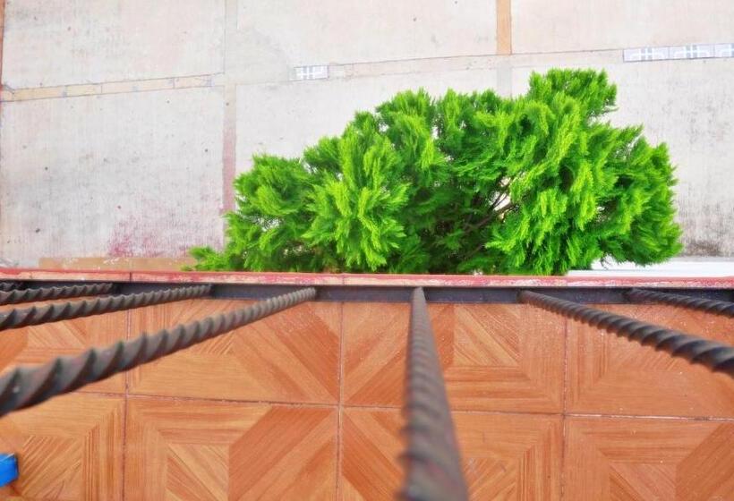 اتاق استاندارد با بالکن, Casa El Mundo