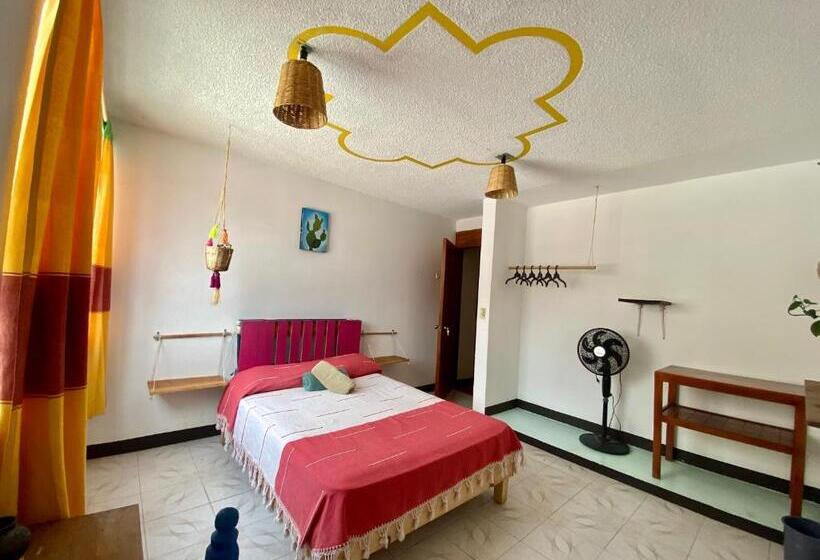 اتاق استاندارد, Casa El Mundo