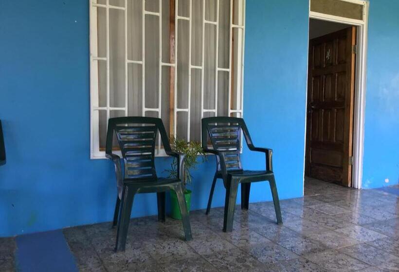 Номер Economy, Palmera Rooms Caribe