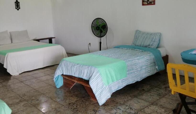 Номер Economy, Palmera Rooms Caribe