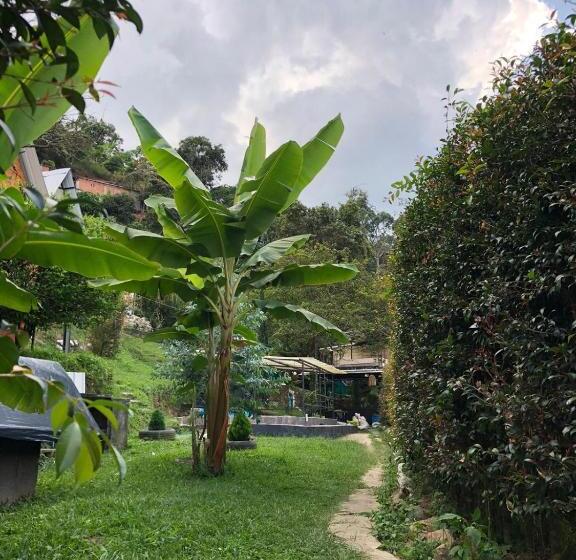 اتاق استاندارد, Cabañas En Medellin