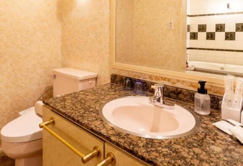 Номер Стандарт, Shizukuishi Resort