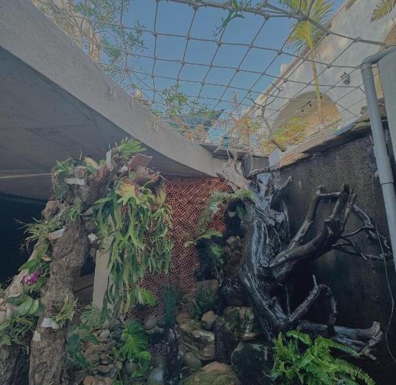 اتاق خانوادگی, Barland Villa