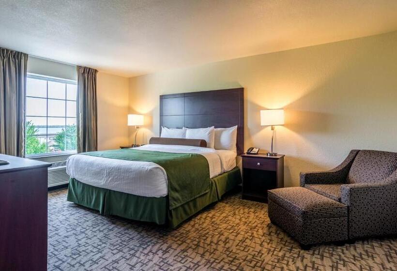 Люкс, Cobblestone Hotel & Suites   Erie