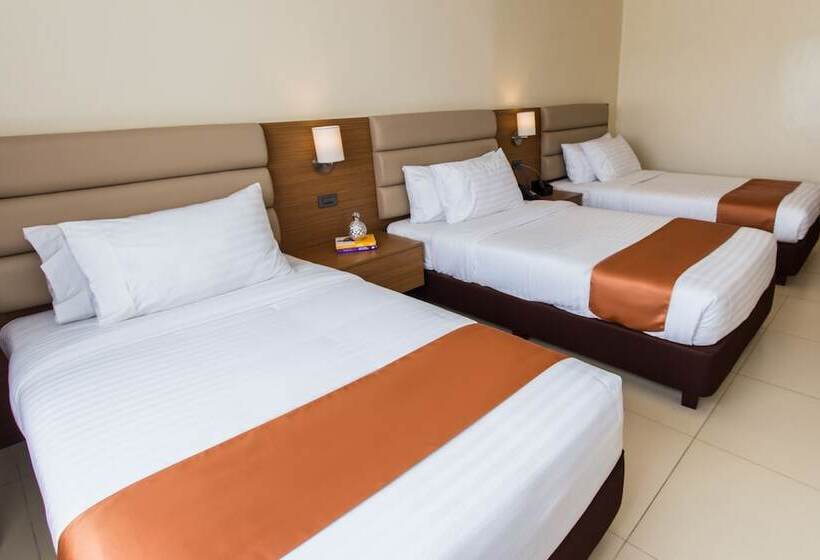 اتاق لوکس سه تخته, Royce Hotel & Casino