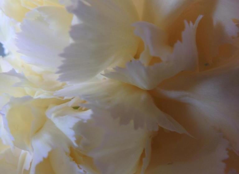 스위트 킹사이즈 침대, Bowral Road Art Gallery Bed And Breakfast
