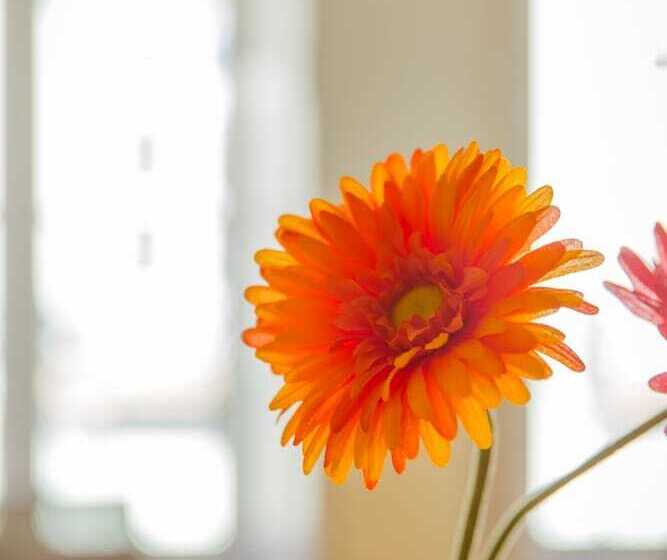 آپارتمان دوبلکس 1 خوابه, Flores 36 By Yoursporto