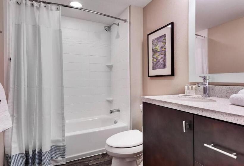 Студия Стандарт, Towneplace Suites By Marriott Austin Parmer/tech Ridge