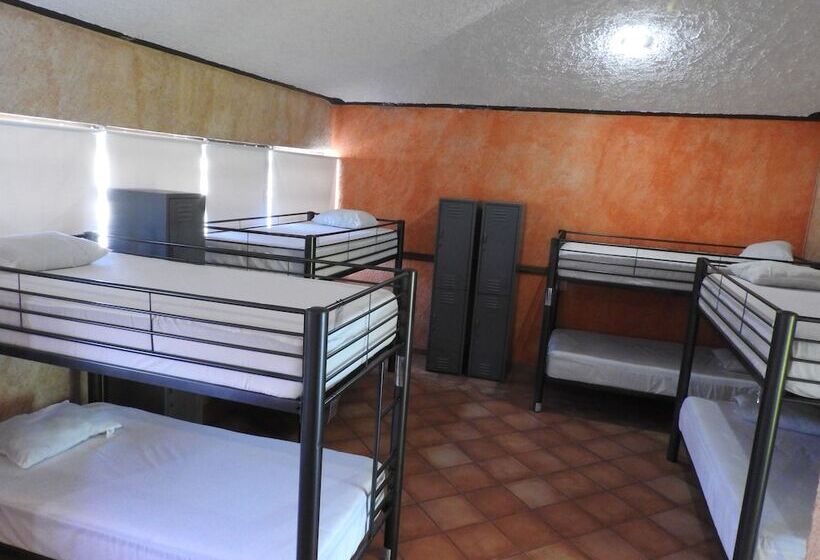 מיטה בחדר משותף, Hostal San Jemo León   Hostel