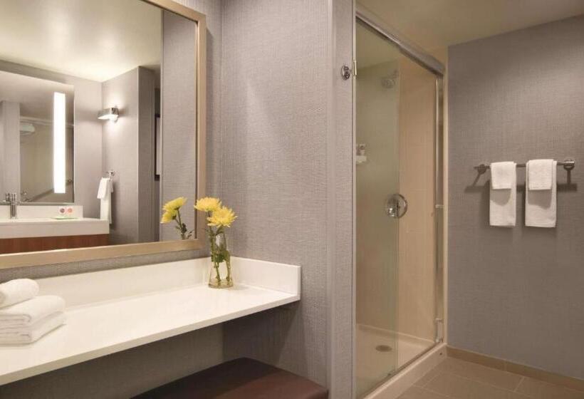 Quarto Standard 2 Camas Casal, Hyatt Place Chicago Ohare Airport