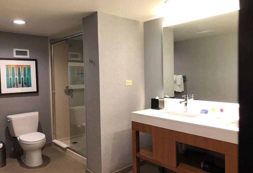 Quarto standard, Hyatt Place Chicago Ohare Airport
