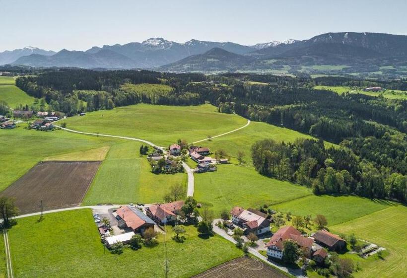 Номер Basic, Alpenblick