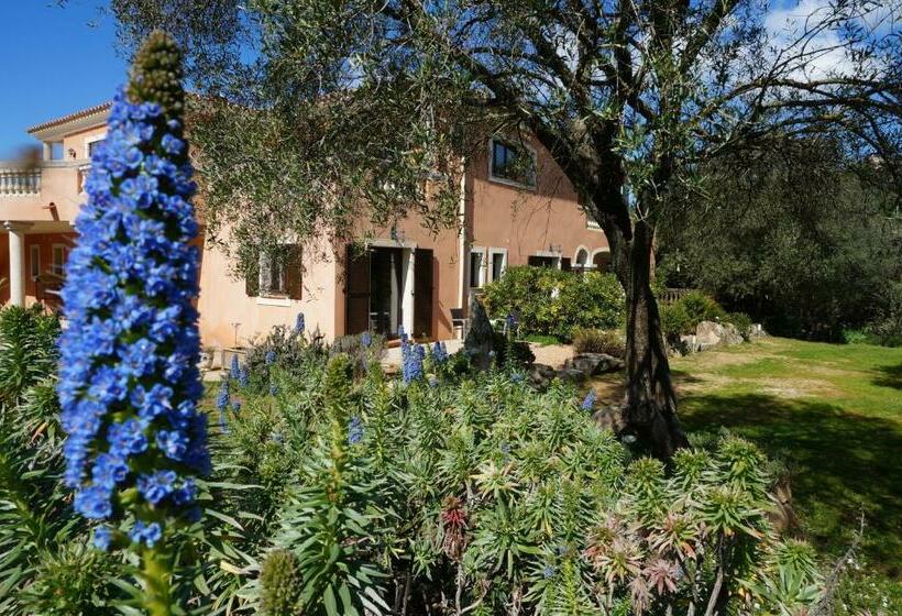 Номер Стандарт Вид на Горы, Chambre D'hôtes Domaine Pero Longo