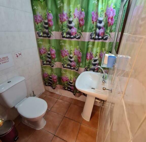 Quarto Estandar, Metropole